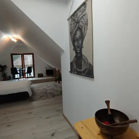 בית הארחה Casuta Din בראשוב