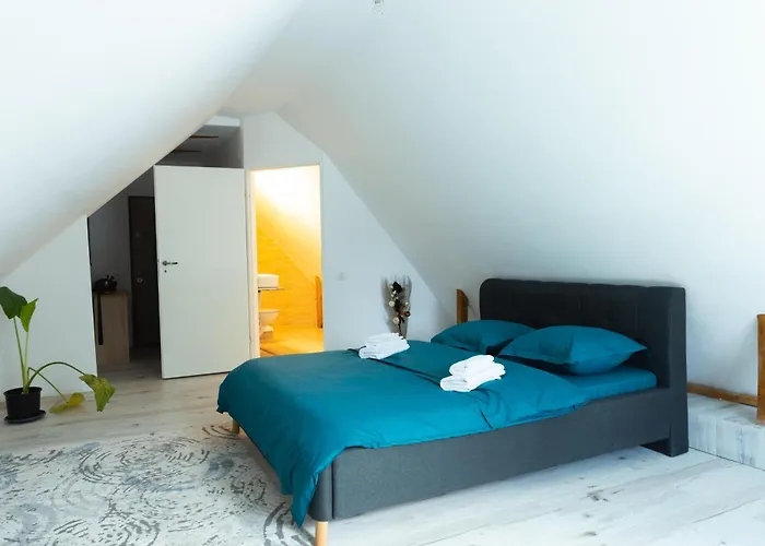 Casuta Din بيت ضيافة براشوف