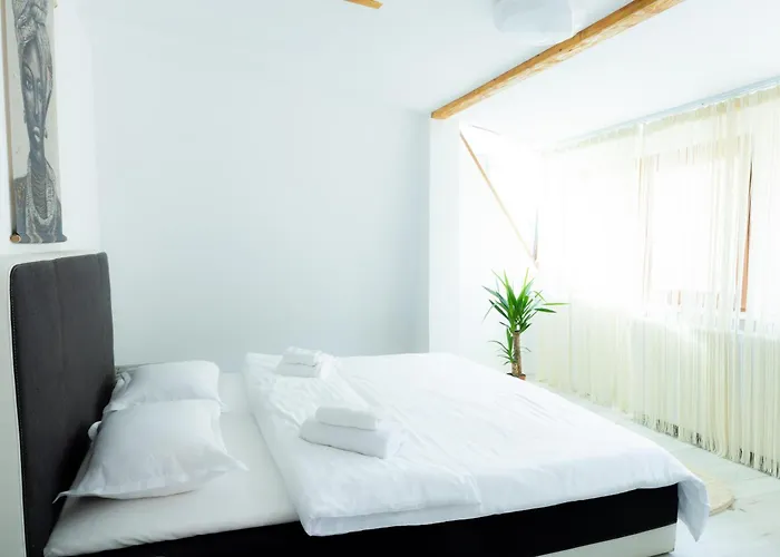 بيت ضيافة Casuta Din